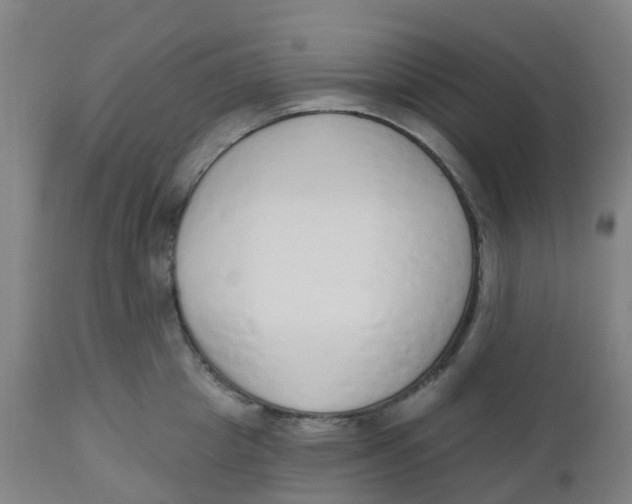 X0000112500857200909071243