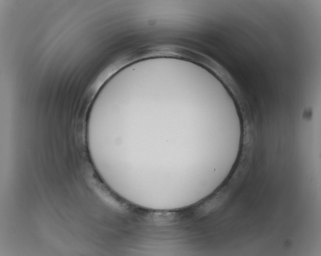 X0000112500858200909071243