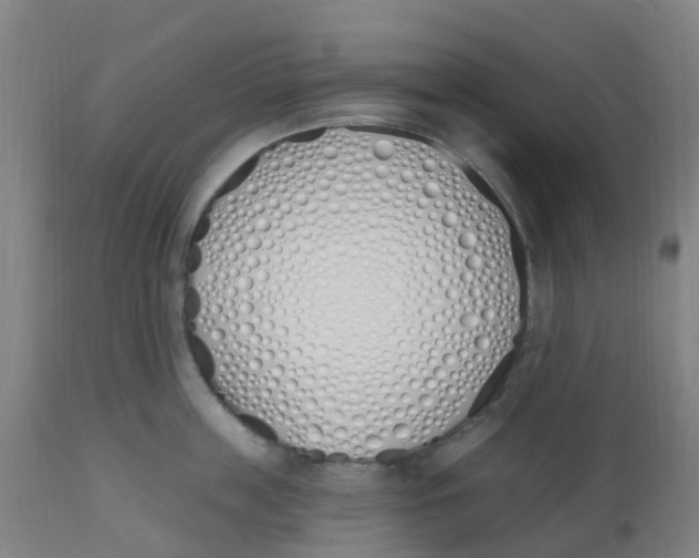 X0000112500859200909071243