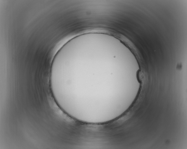 X0000112500860200909071243