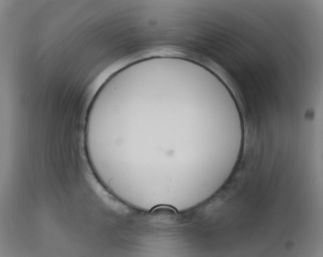 X0000112500861200909071243