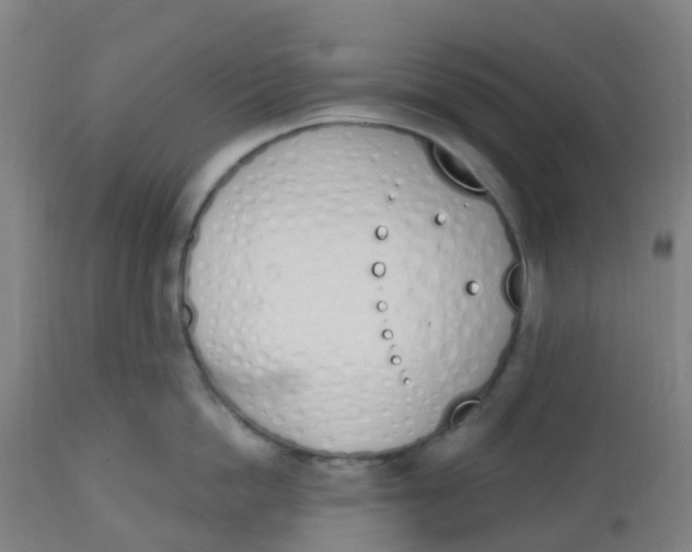 X0000112500862200909071243