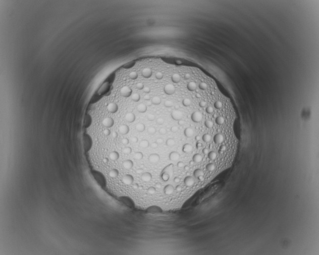 X0000112500863200909071243