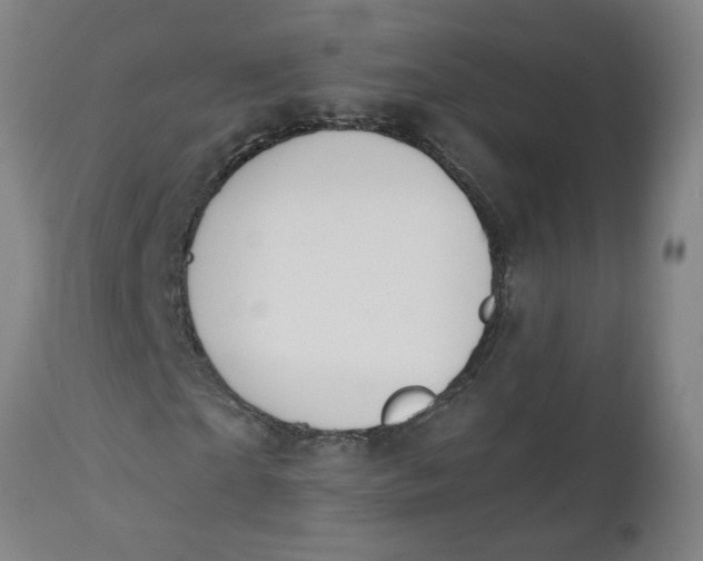 X0000112500865200909071243