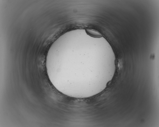 X0000112500867200909071243