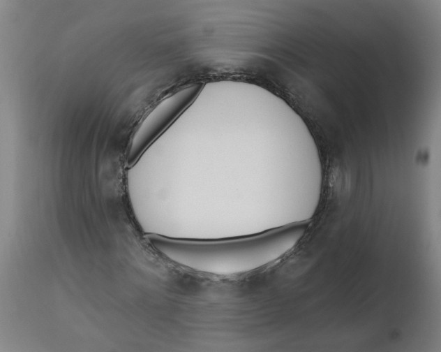 X0000112500868200909071243