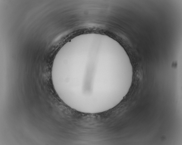 X0000112500869200909071243