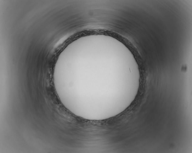 X0000112500871200909071243