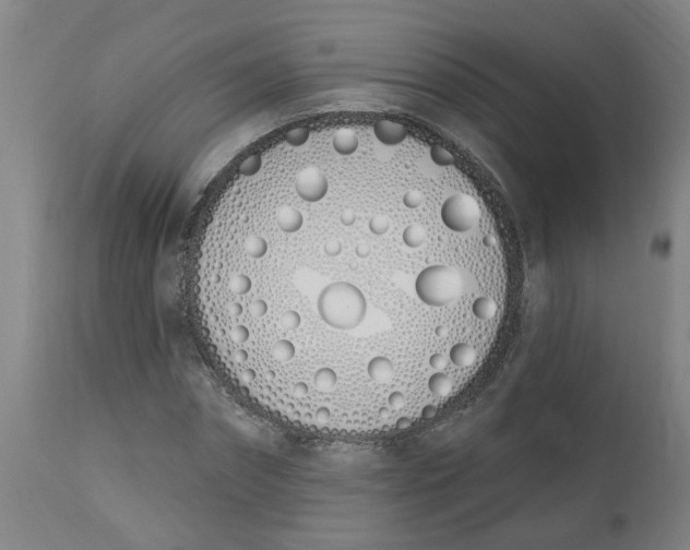 X0000112500874200909071242