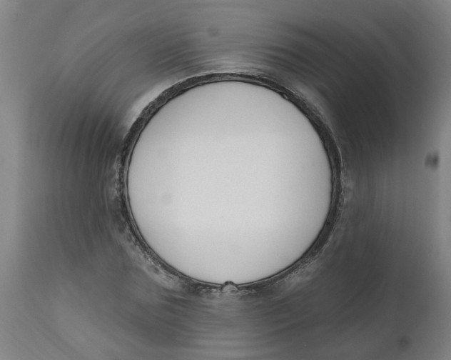 X0000112500875200909071242