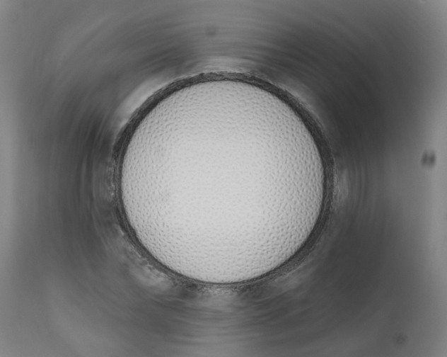 X0000112500878200909071242