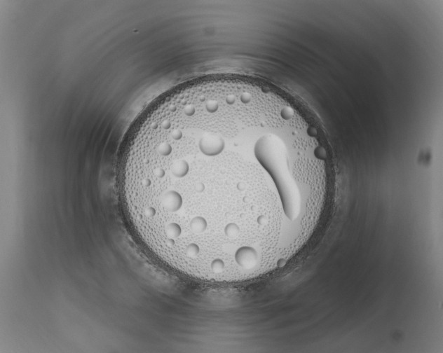 X0000112500882200909071242