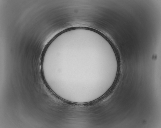 X0000112500885200909071242