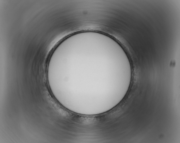 X0000112500886200909071242