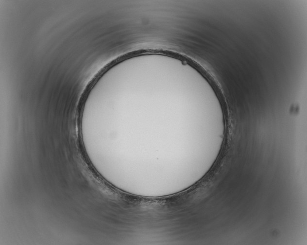 X0000112500887200909071242