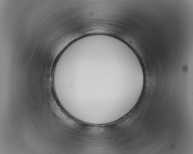 X0000112500890200909071242