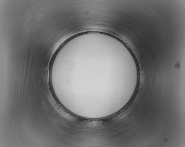 X0000112500891200909071242