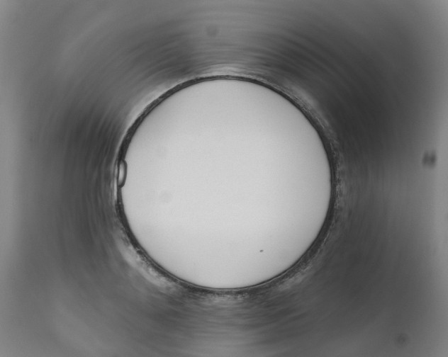 X0000112500892200909071242