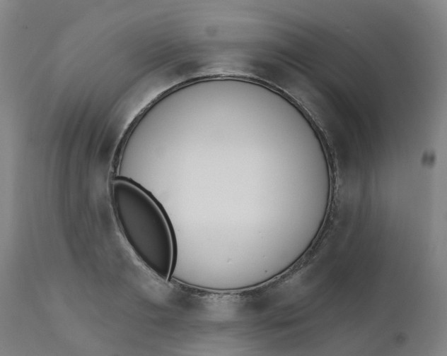 X0000112500893200909071242