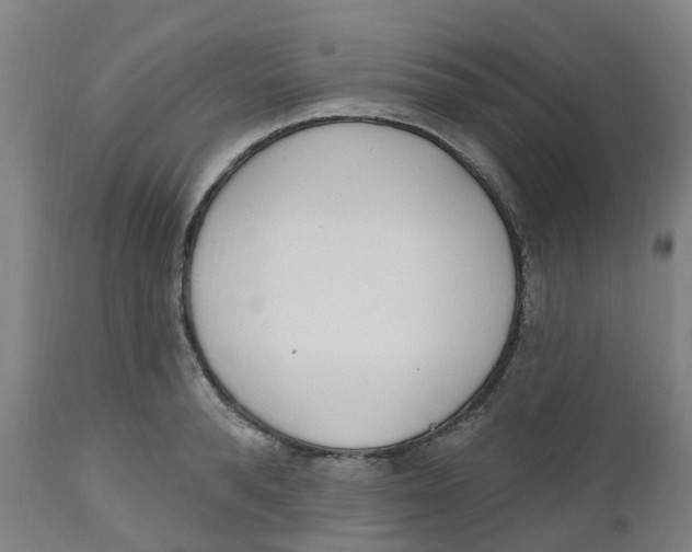 X0000112500896200909071242