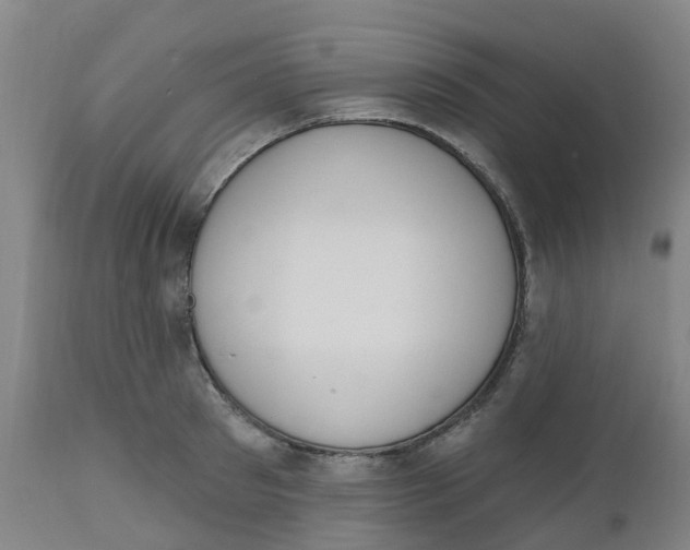 X0000112500897200909071242