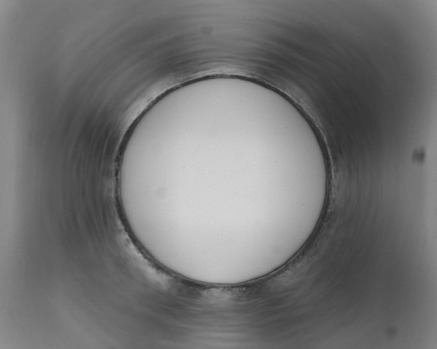 X0000112500898200909071242