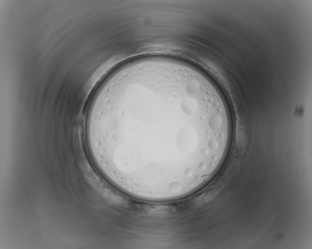 X0000112500899200909071242