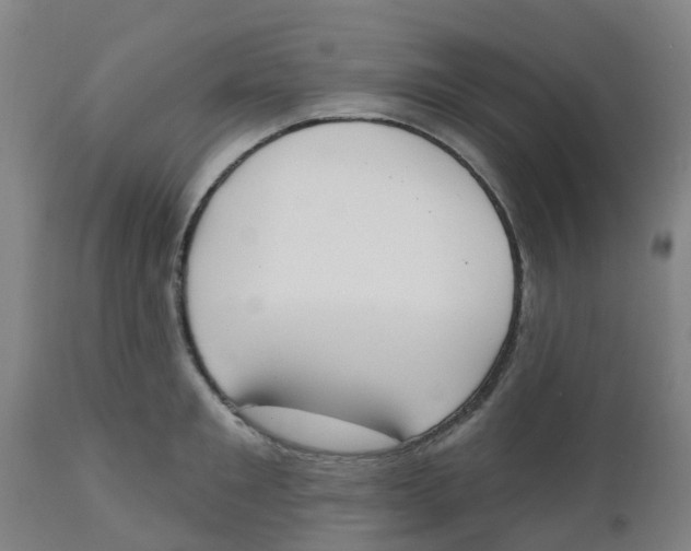 X0000112500901200909071242