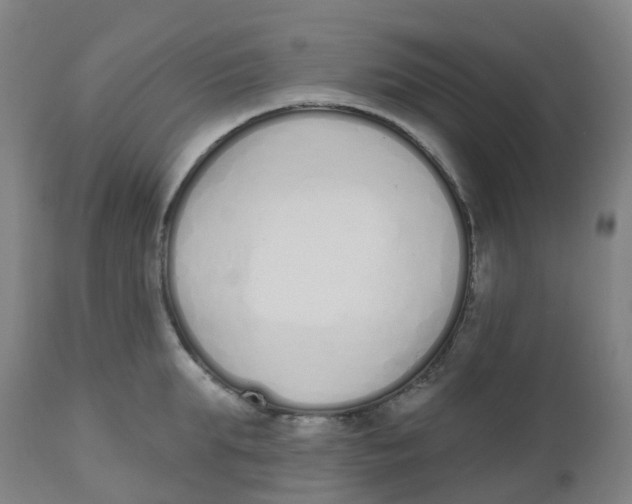 X0000112500903200909071242