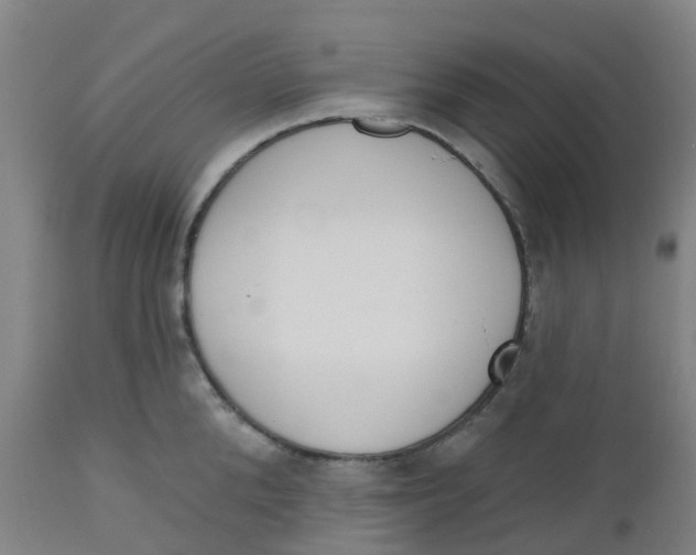 X0000112500904200909071242