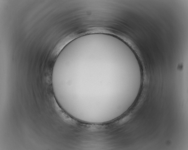 X0000112500905200909071242