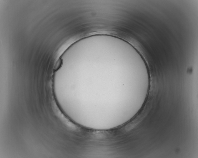 X0000112500906200909071242