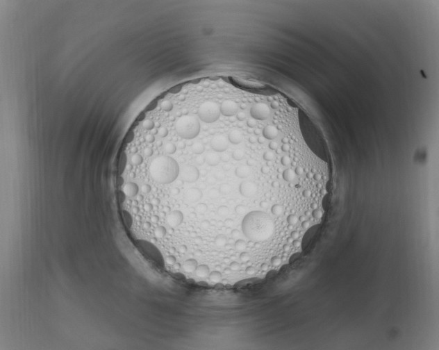 X0000112500907200909071242