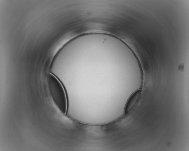 X0000112500909200909071242