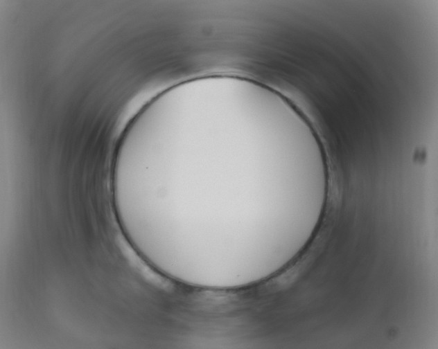 X0000112500910200909071242