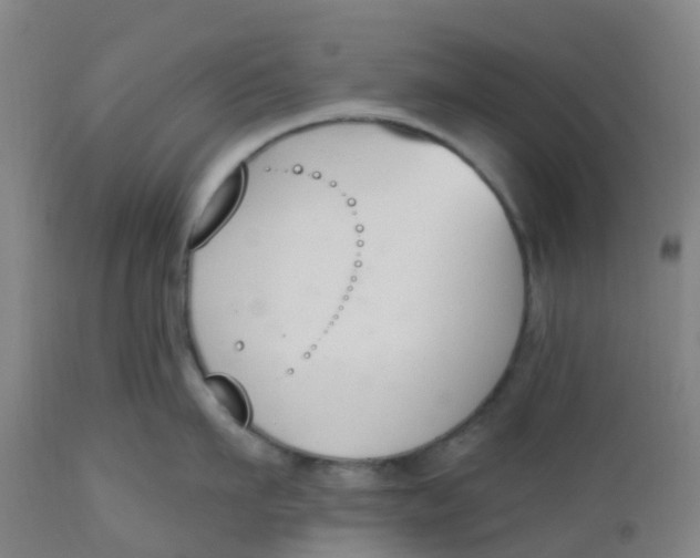 X0000112500911200909071242