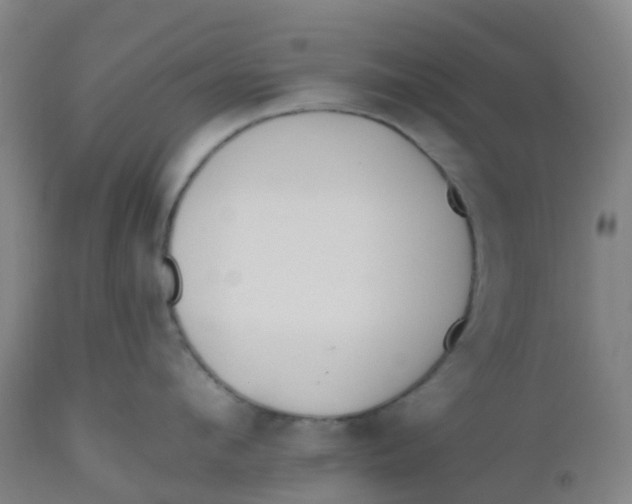 X0000112500912200909071242