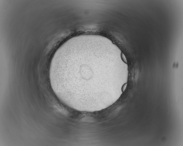 X0000112500913200909071241