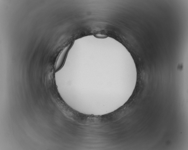 X0000112500914200909071241