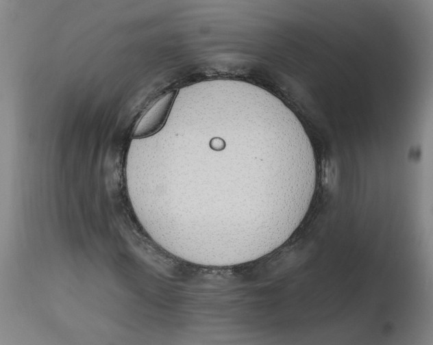 X0000112500915200909071241