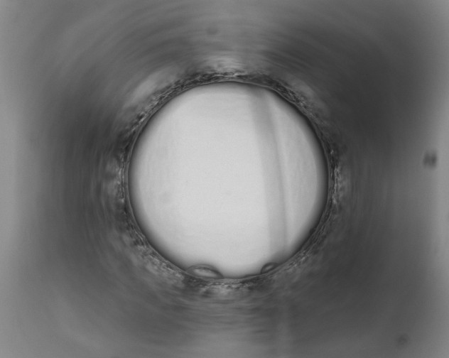 X0000112500917200909071241