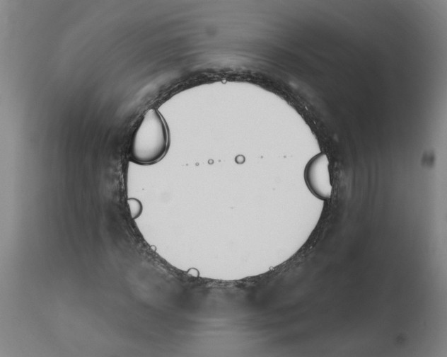 X0000112500918200909071241