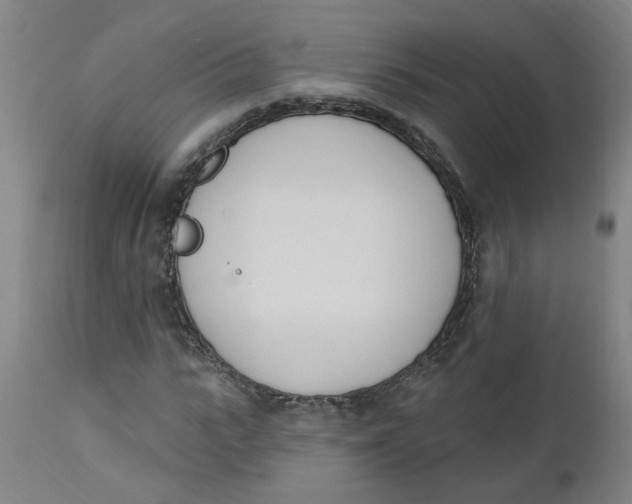 X0000112500919200909071241