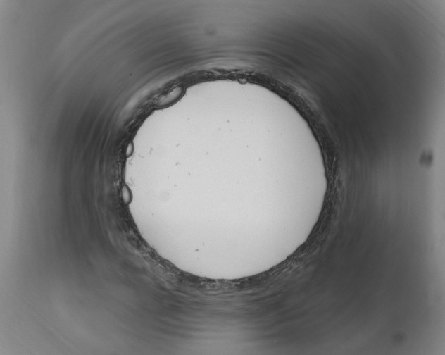 X0000112500920200909071241