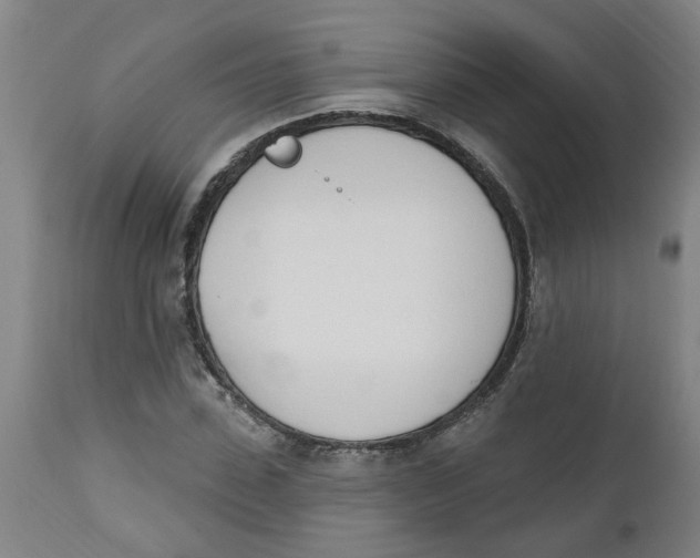 X0000112500923200909071241