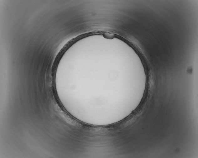 X0000112500924200909071241