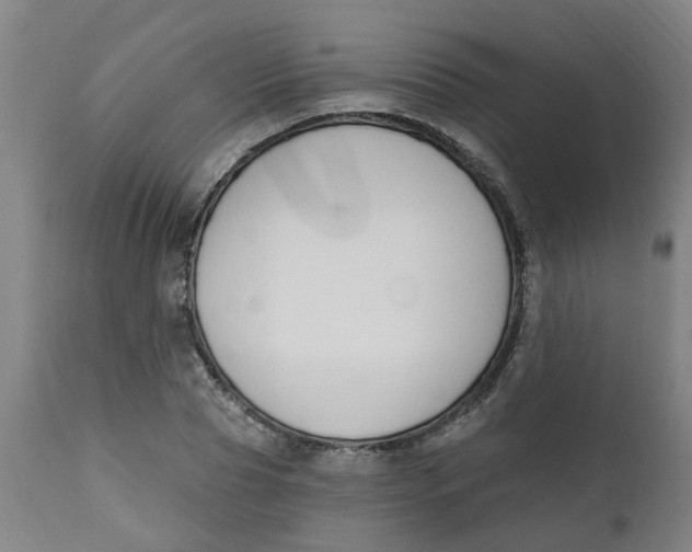 X0000112500929200909071241