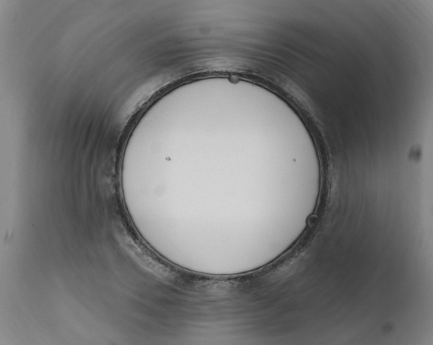 X0000112500930200909071241