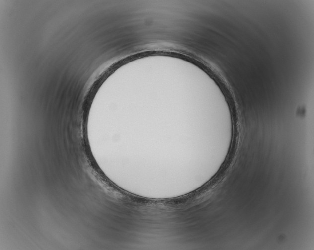 X0000112500931200909071241