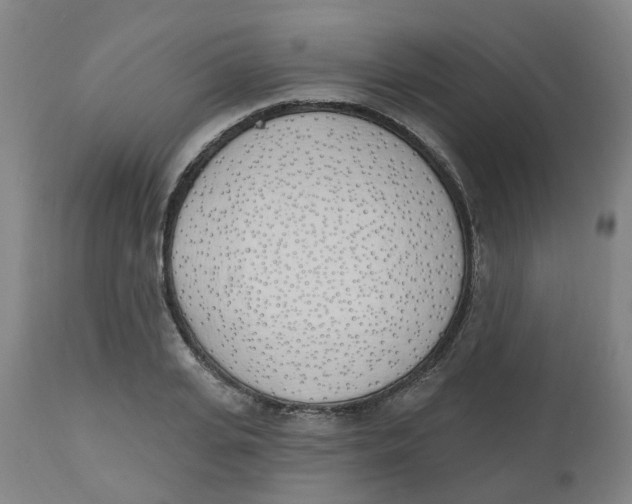 X0000112500935200909071241